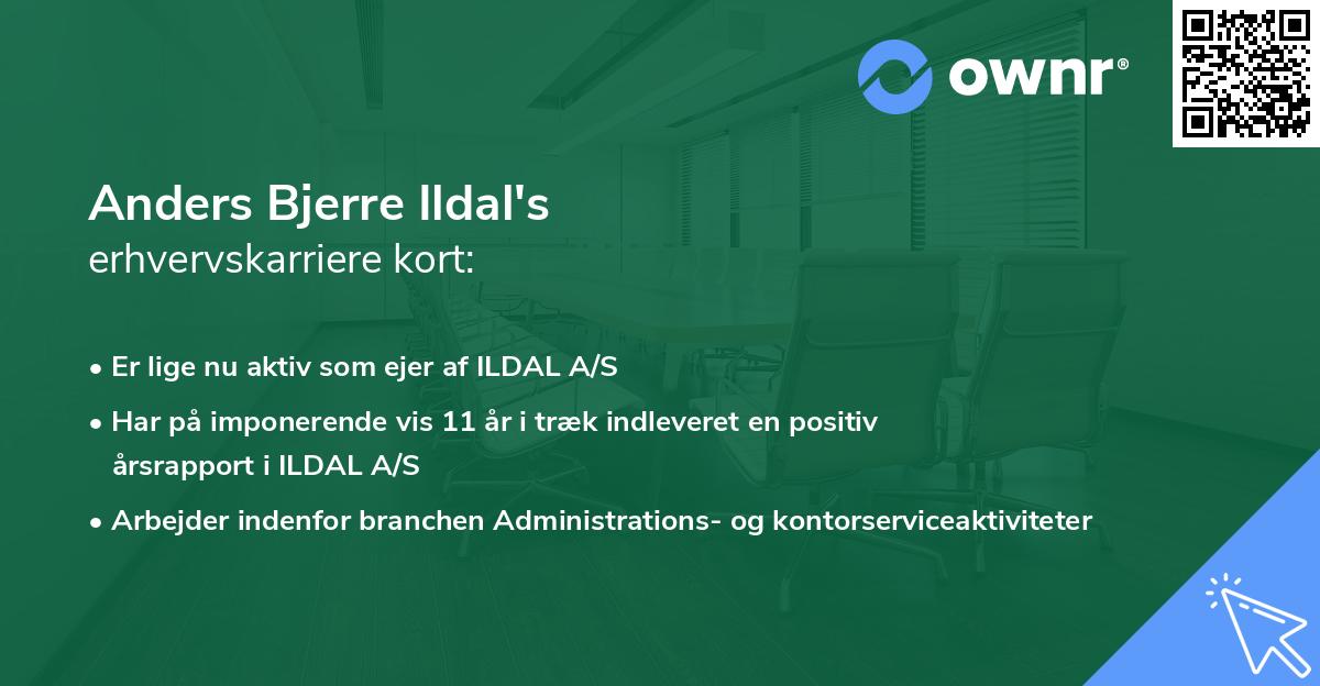 Anders Bjerre Ildal's erhvervskarriere kort