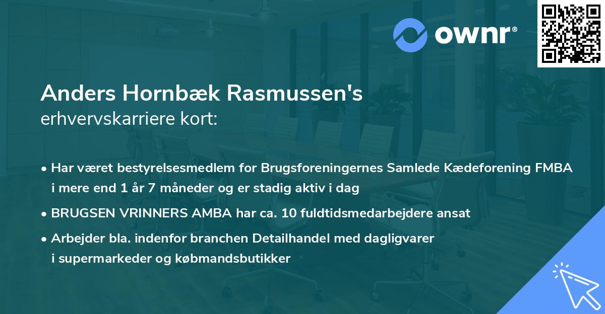 Anders Hornbæk Rasmussen's erhvervskarriere kort