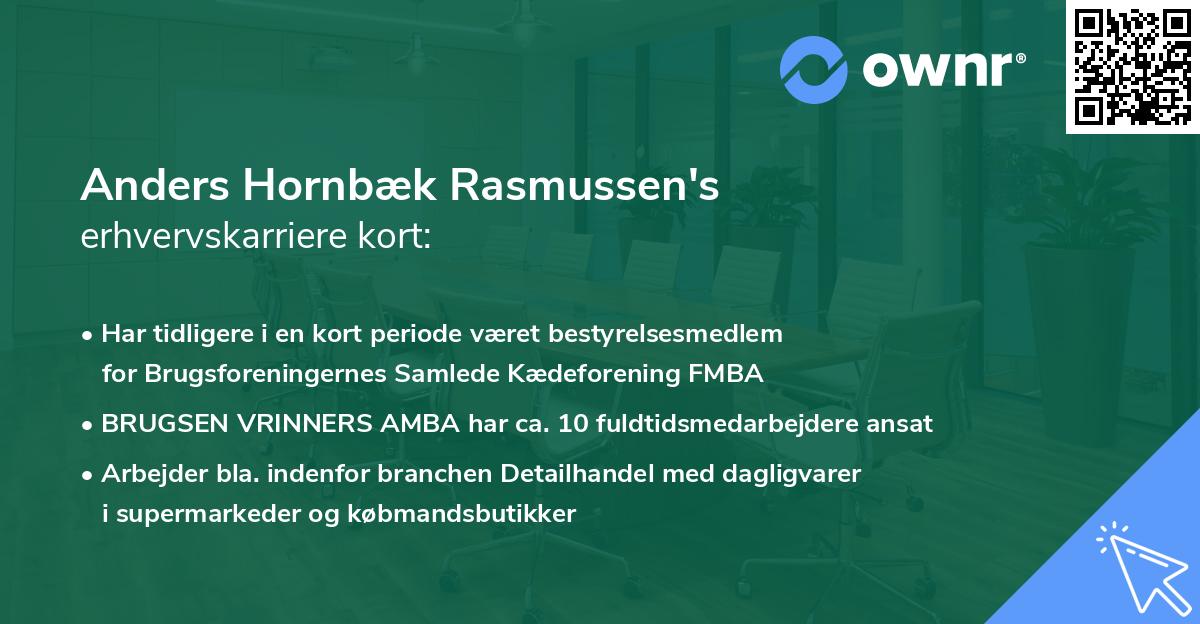 Anders Hornbæk Rasmussen's erhvervskarriere kort