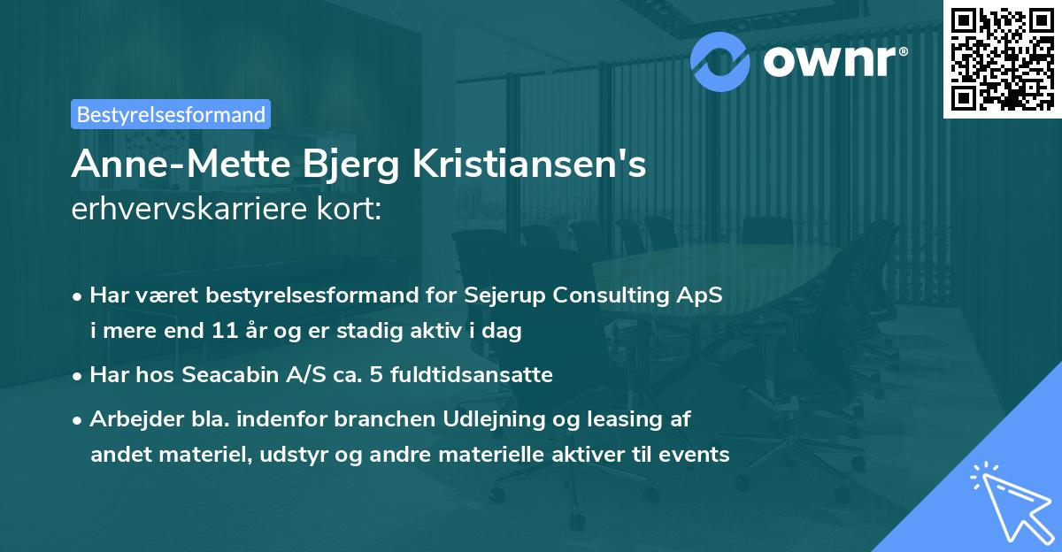 Anne-Mette Bjerg Kristiansen's erhvervskarriere kort