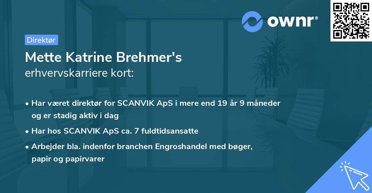 Mette Katrine Brehmer's erhvervskarriere kort