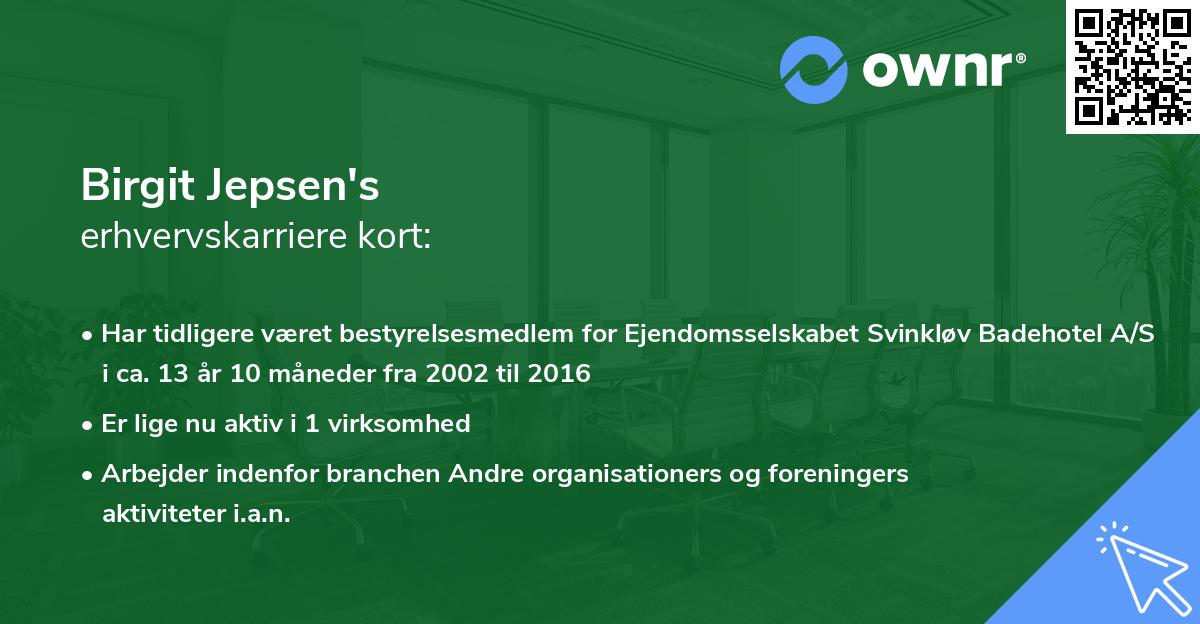 Birgit Jepsen's erhvervskarriere kort