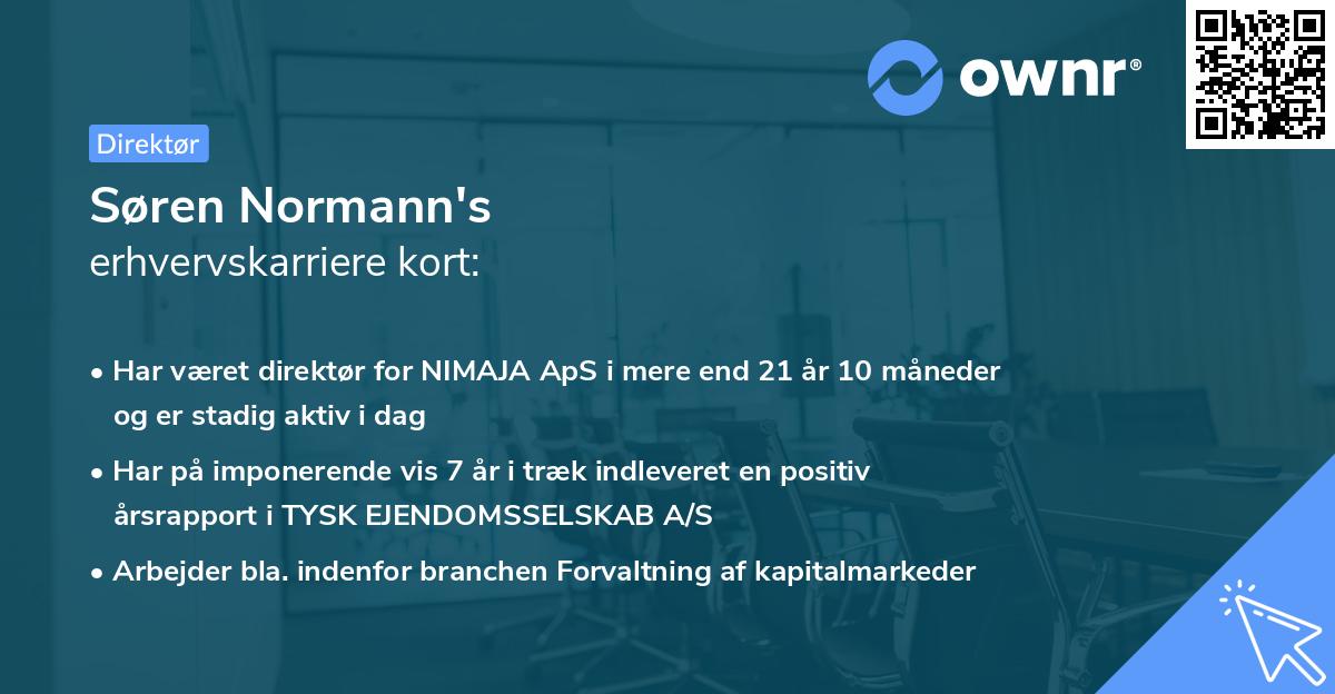 Søren Normann's erhvervskarriere kort