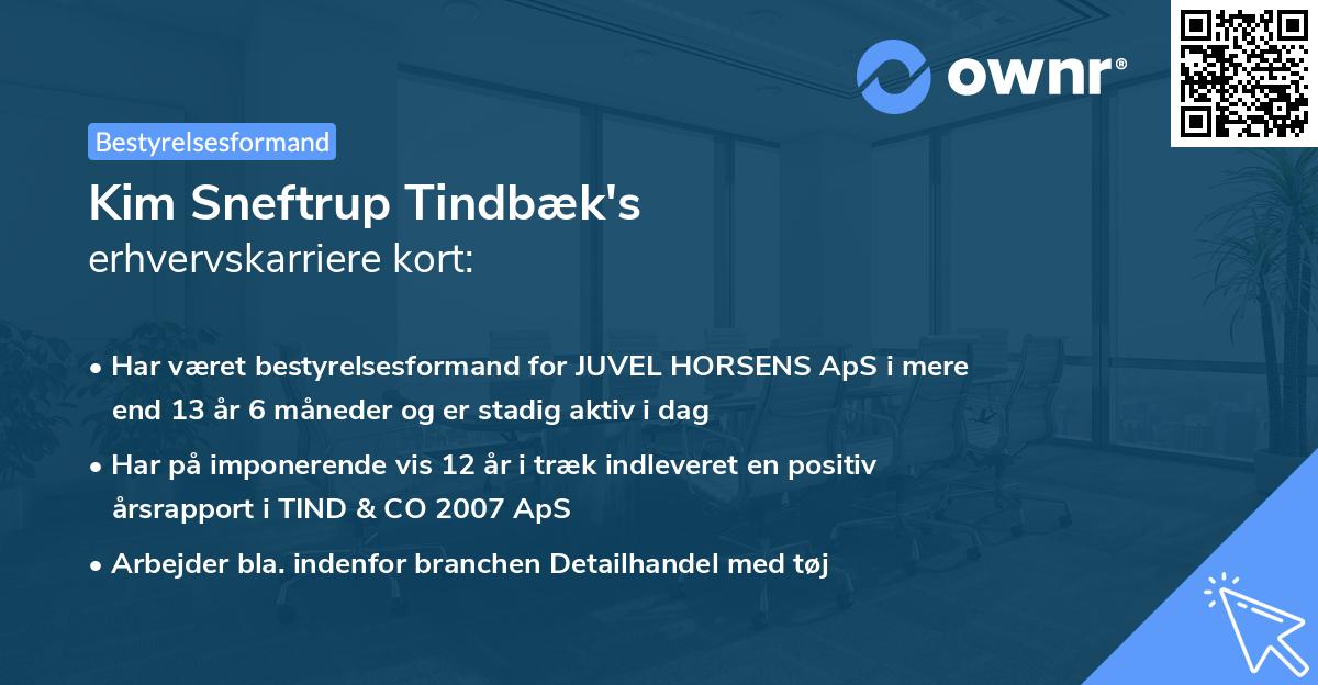 Kim Sneftrup Tindbæk's erhvervskarriere kort