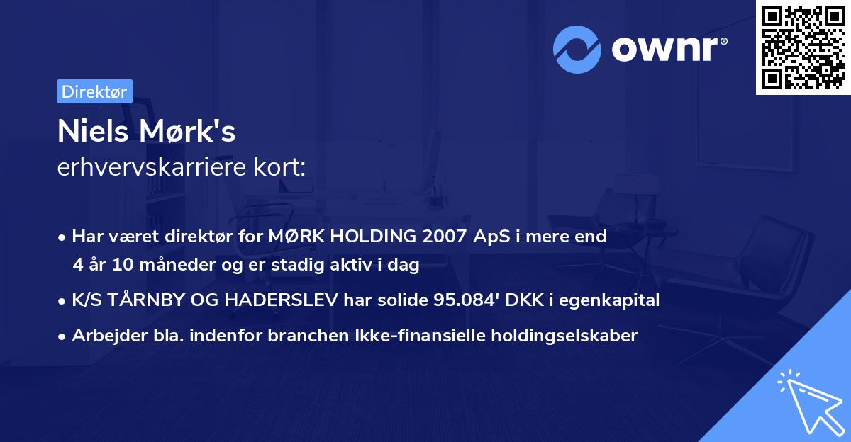 Niels Mørk's erhvervskarriere kort