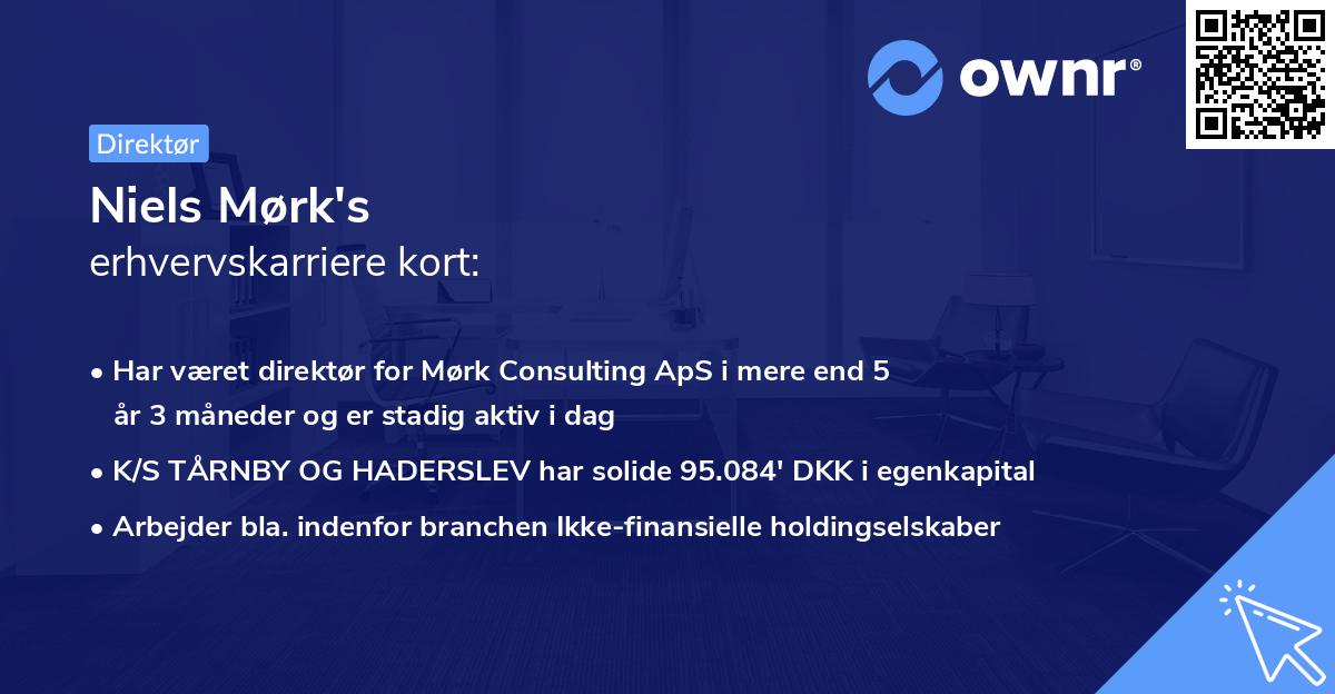 Niels Mørk's erhvervskarriere kort