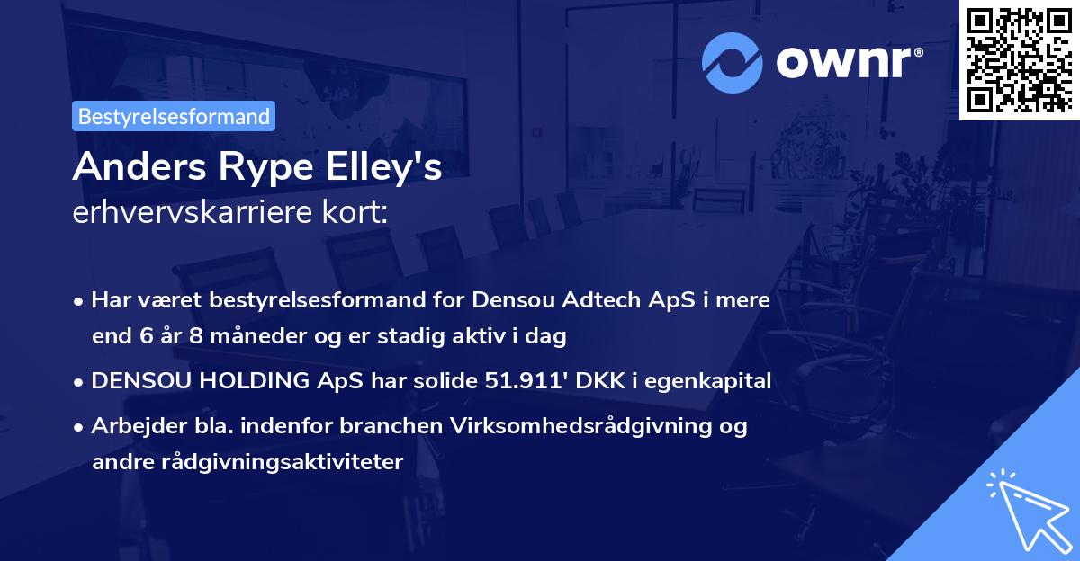 Anders Rype Elley's erhvervskarriere kort