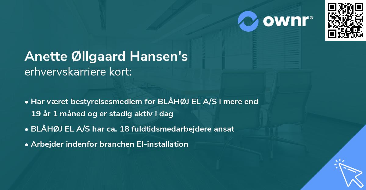 Anette Øllgaard Hansen's erhvervskarriere kort