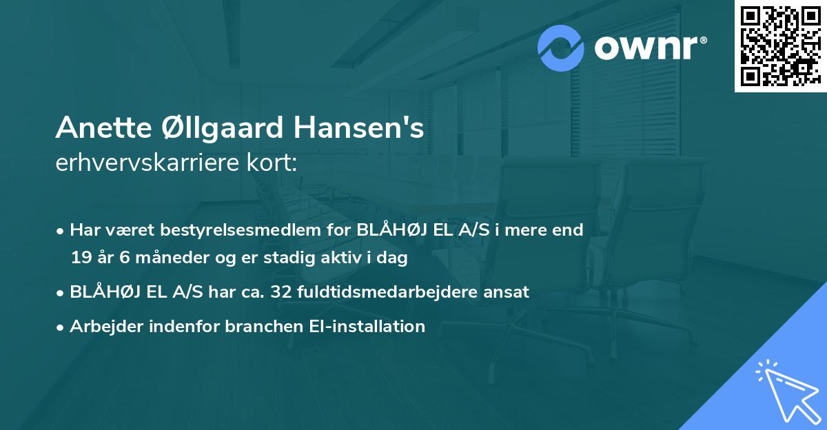 Anette Øllgaard Hansen's erhvervskarriere kort