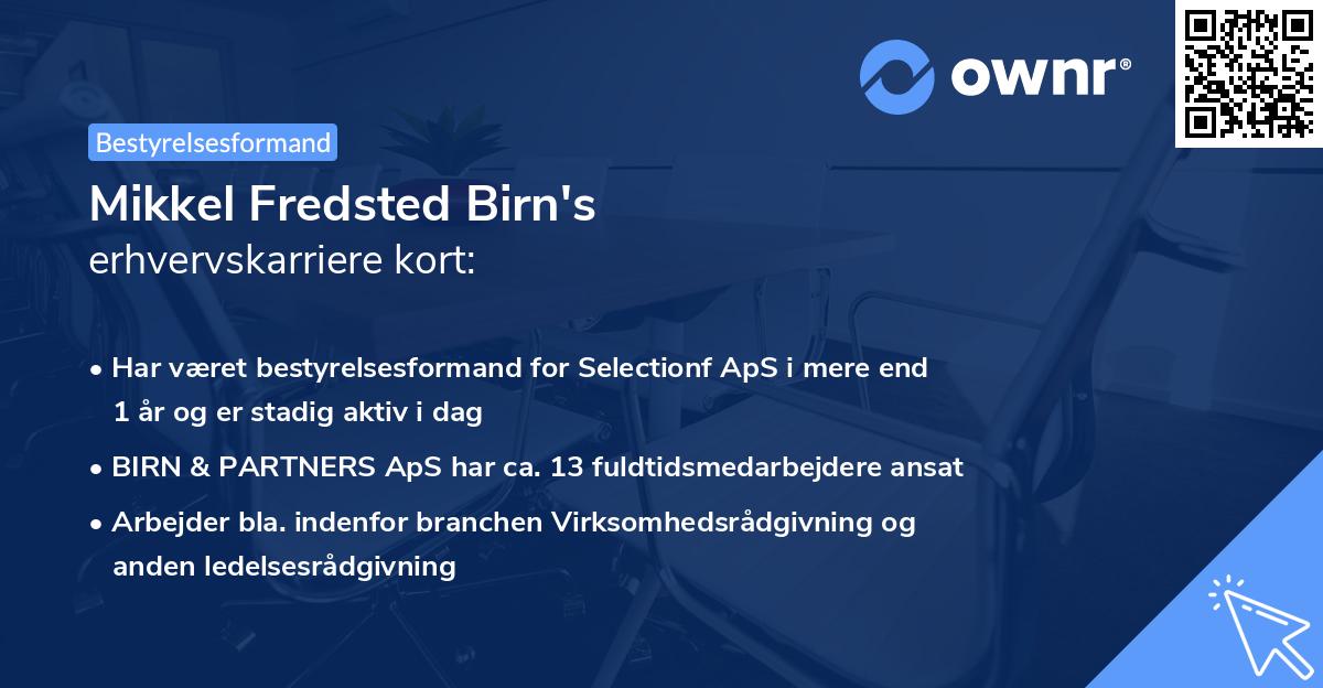 Mikkel Fredsted Birn's erhvervskarriere kort