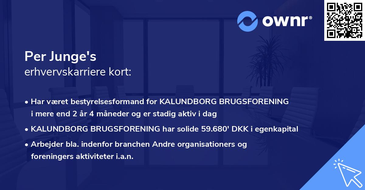 Per Junge's erhvervskarriere kort