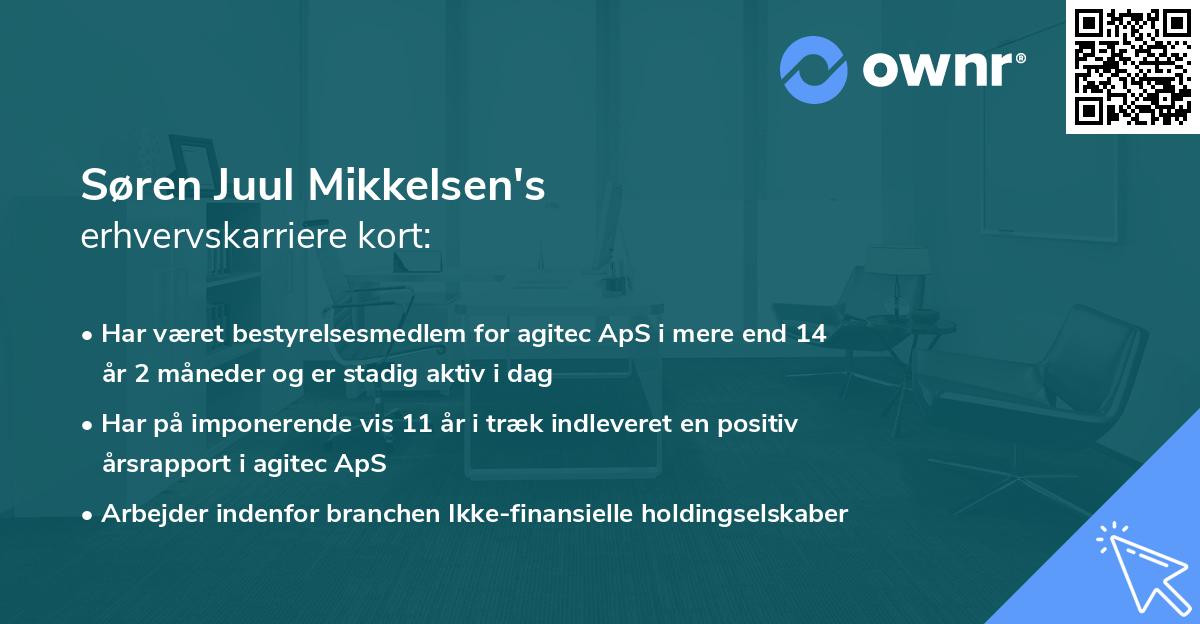 Søren Juul Mikkelsen's erhvervskarriere kort