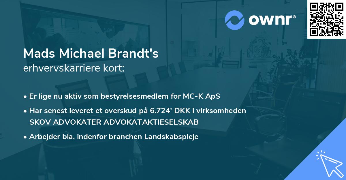 Mads Michael Brandt's erhvervskarriere kort