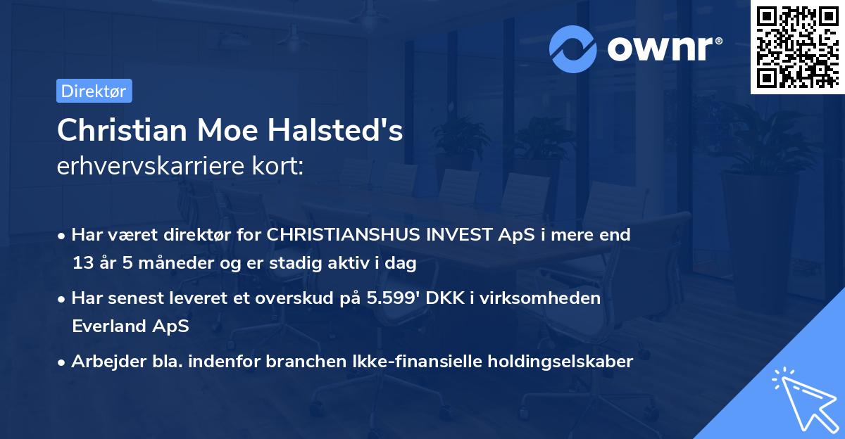 Christian Moe Halsted's erhvervskarriere kort