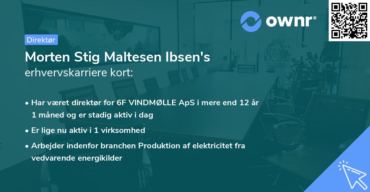 Morten Stig Maltesen Ibsen's erhvervskarriere kort