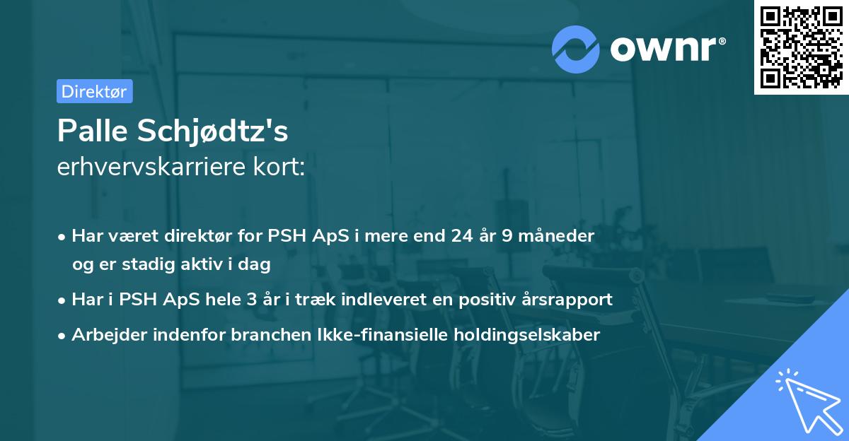 Palle Schjødtz's erhvervskarriere kort
