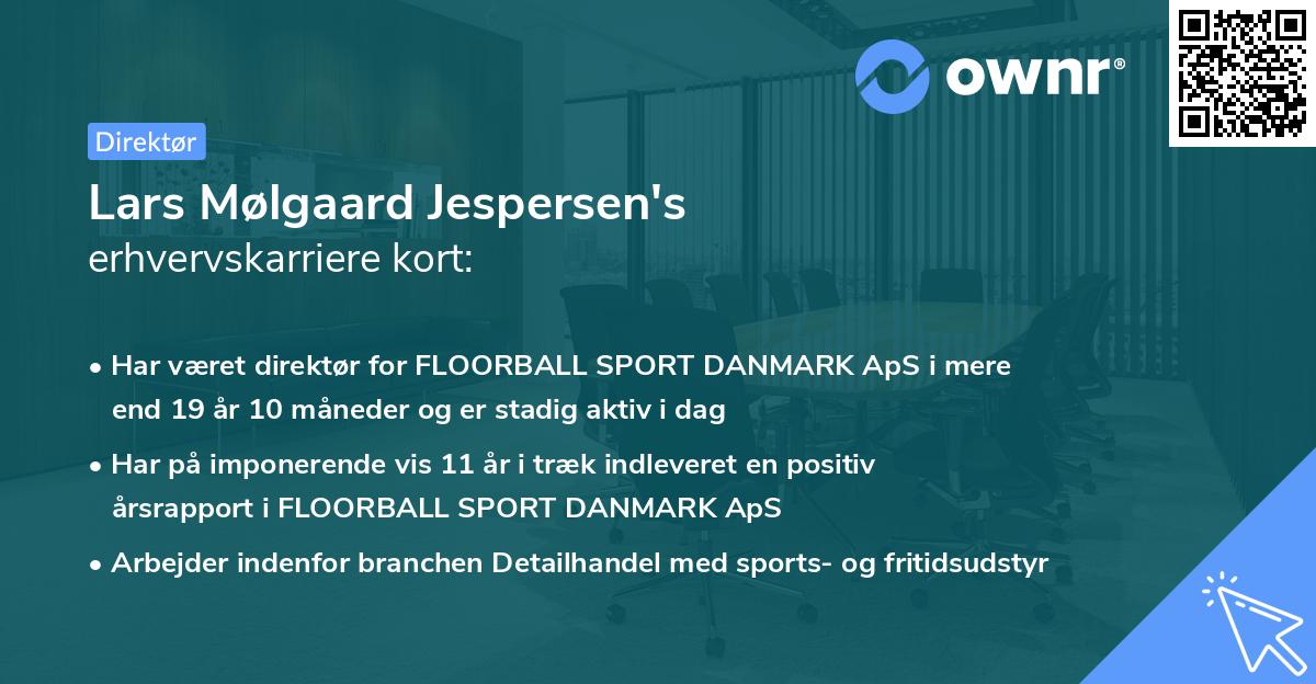 Lars Mølgaard Jespersen's erhvervskarriere kort