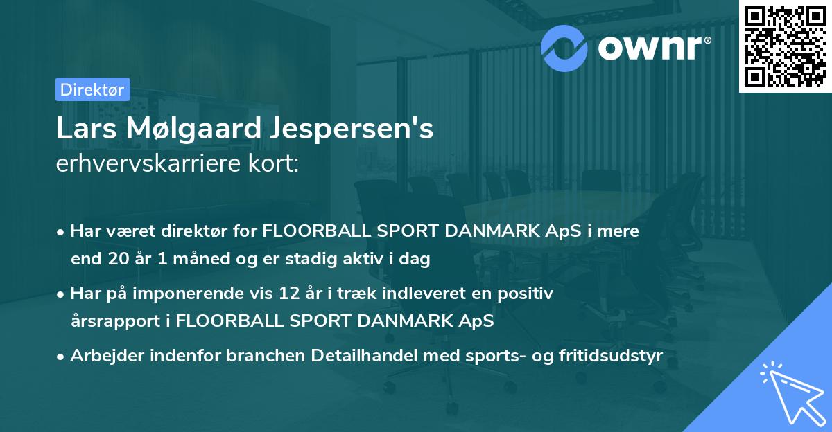 Lars Mølgaard Jespersen's erhvervskarriere kort
