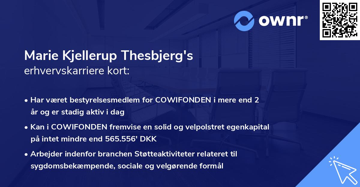 Marie Kjellerup Thesbjerg's erhvervskarriere kort