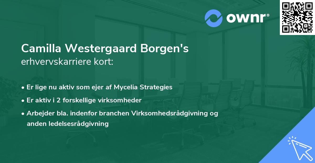 Camilla Westergaard Borgen's erhvervskarriere kort