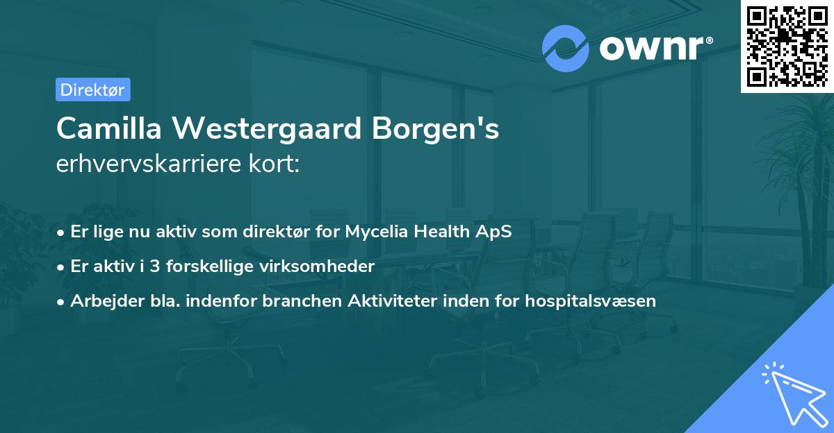 Camilla Westergaard Borgen's erhvervskarriere kort
