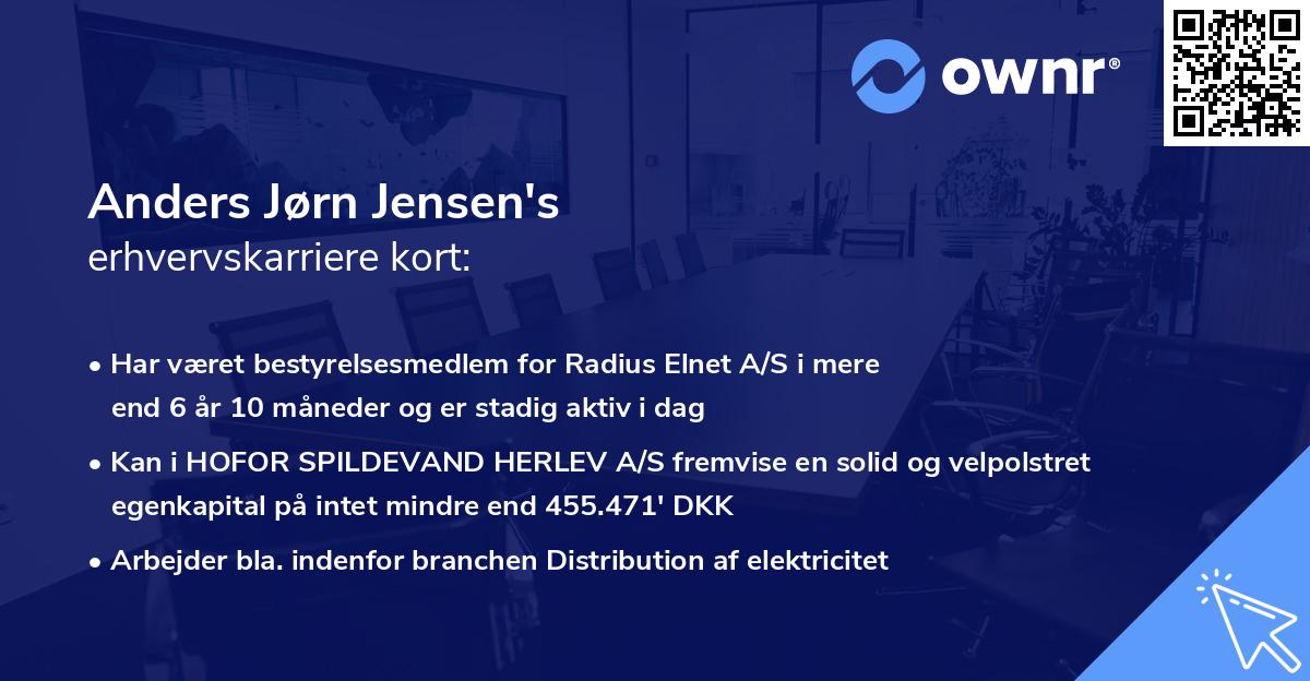 Anders Jørn Jensen's erhvervskarriere kort