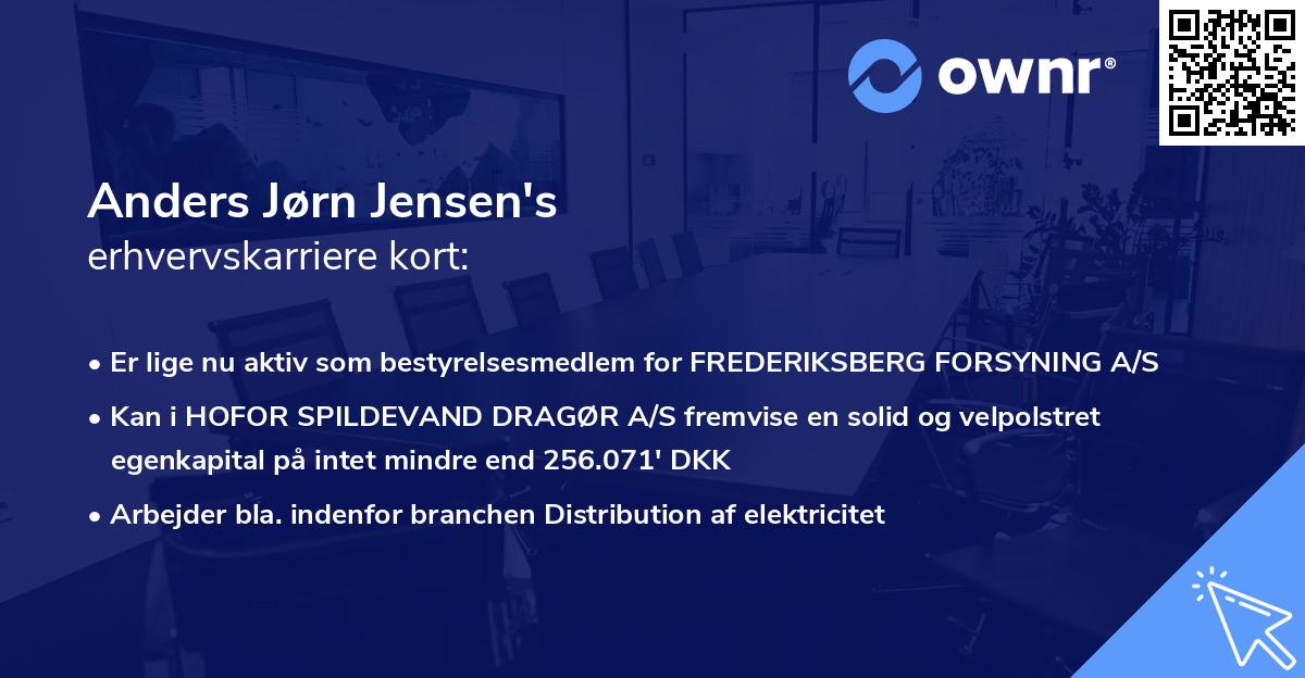 Anders Jørn Jensen's erhvervskarriere kort