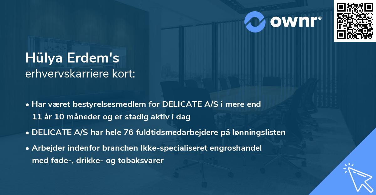 Hülya Erdem's erhvervskarriere kort