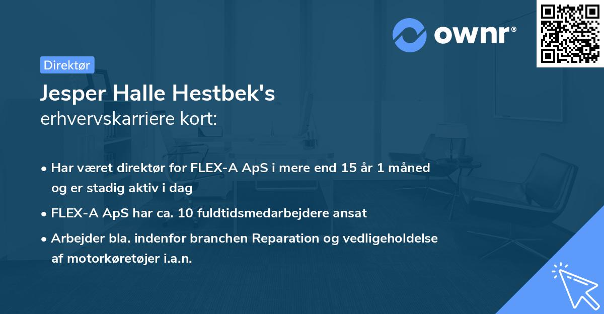 Jesper Halle Hestbek's erhvervskarriere kort