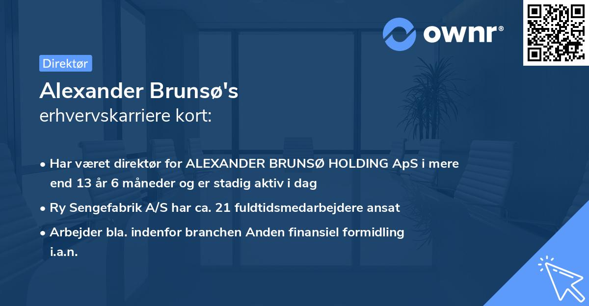 Alexander Brunsø's erhvervskarriere kort