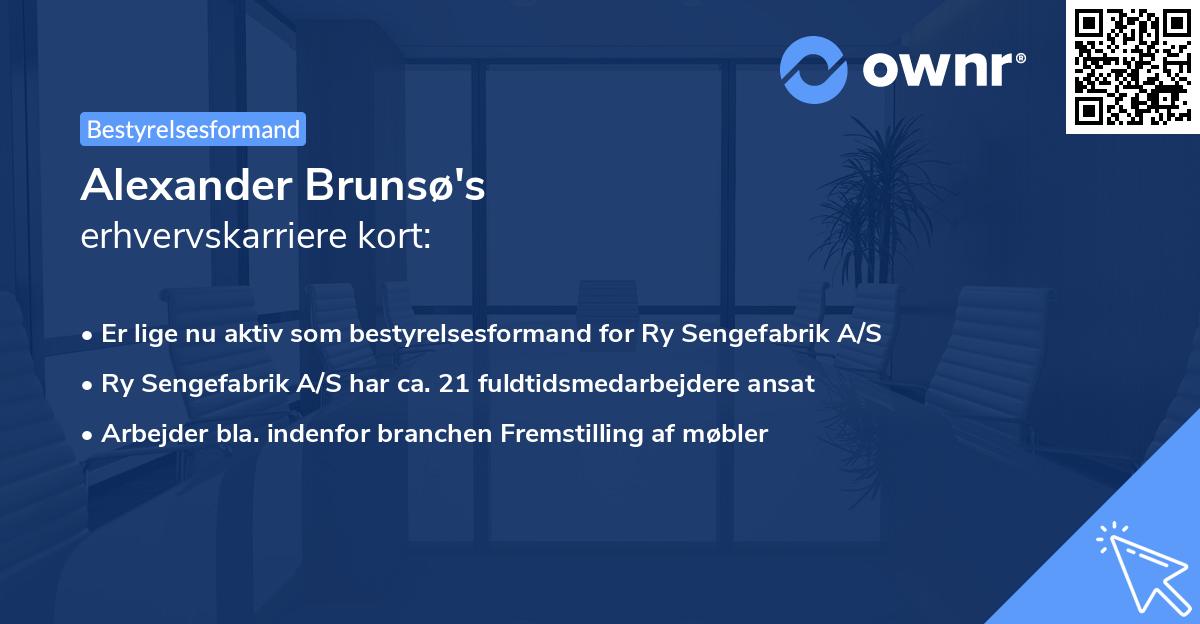 Alexander Brunsø's erhvervskarriere kort