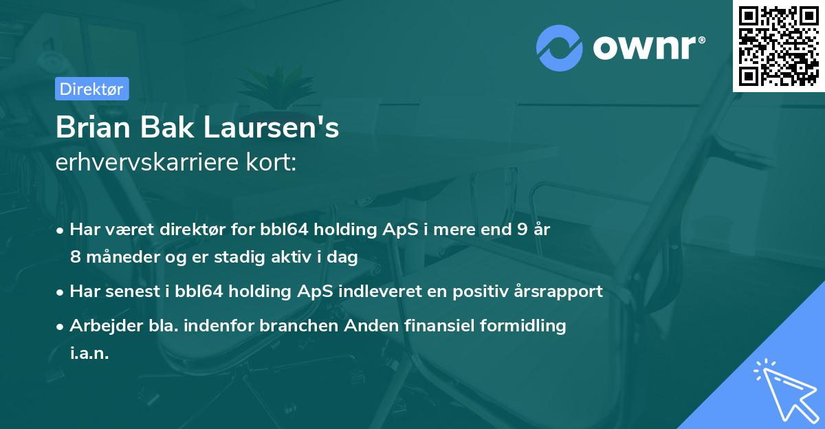 Brian Bak Laursen's erhvervskarriere kort