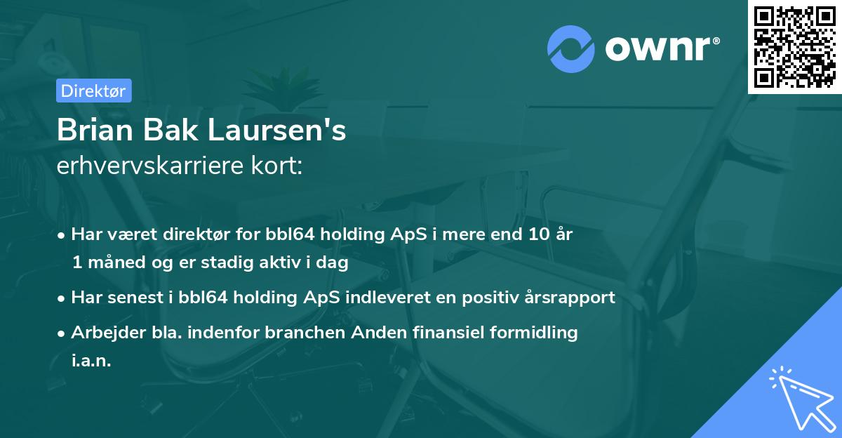 Brian Bak Laursen's erhvervskarriere kort