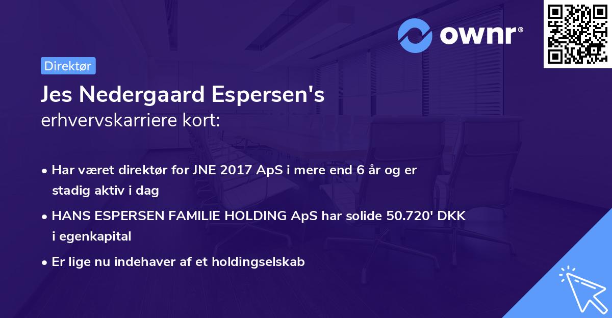 Jes Nedergaard Espersen's erhvervskarriere kort