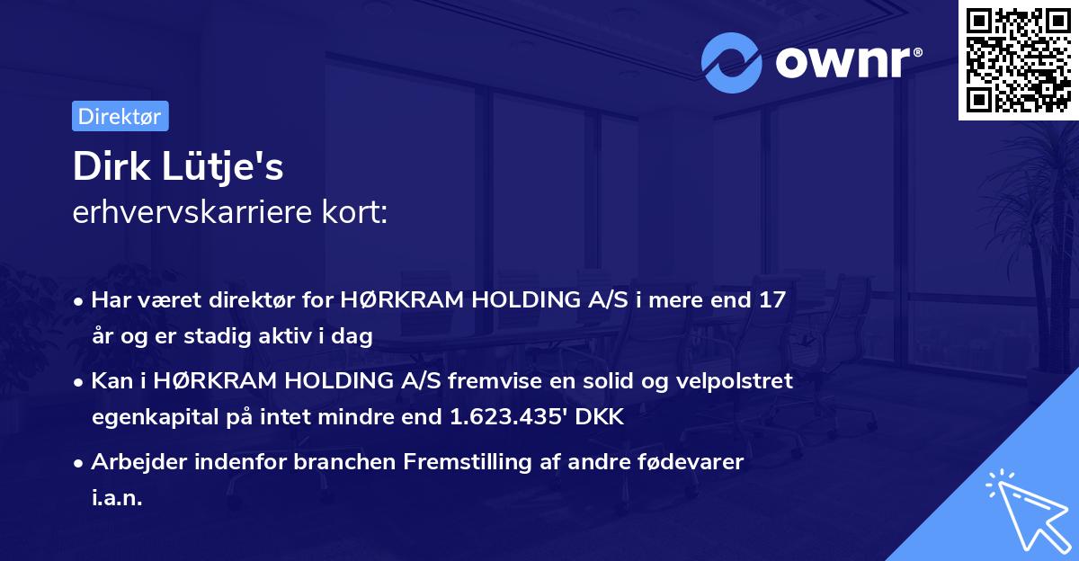 Dirk Lütje's erhvervskarriere kort