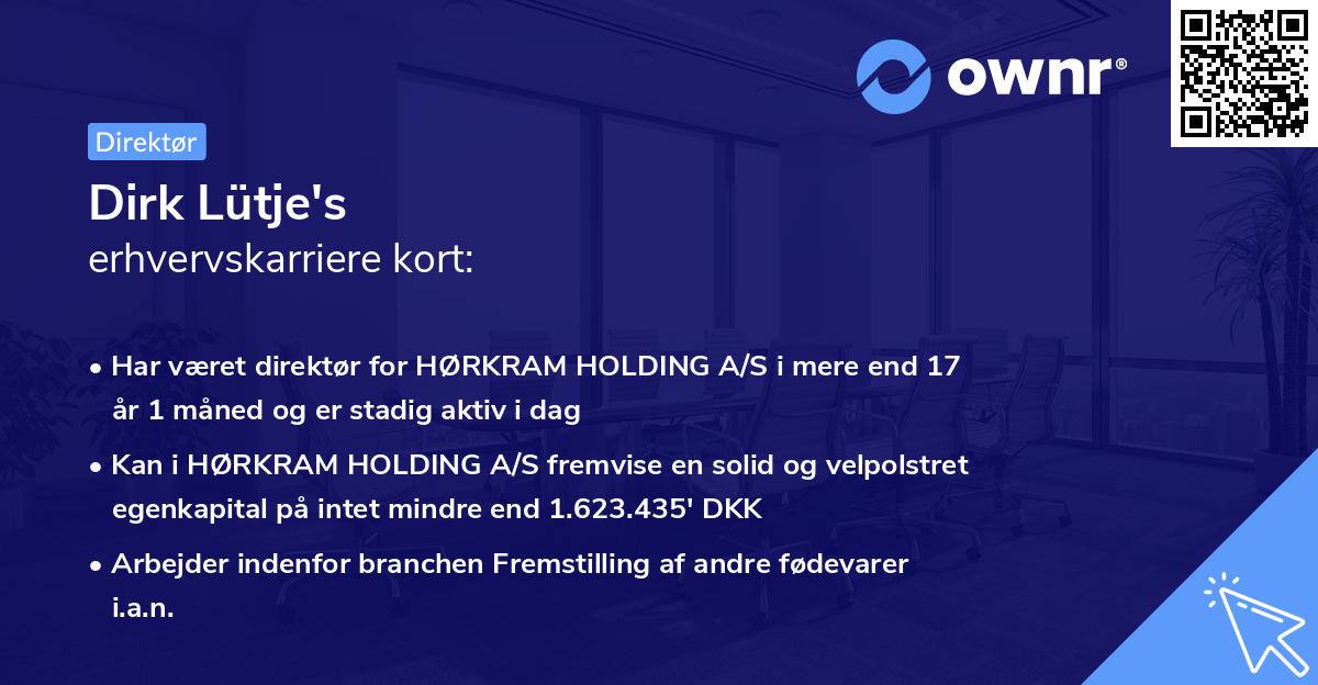 Dirk Lütje's erhvervskarriere kort