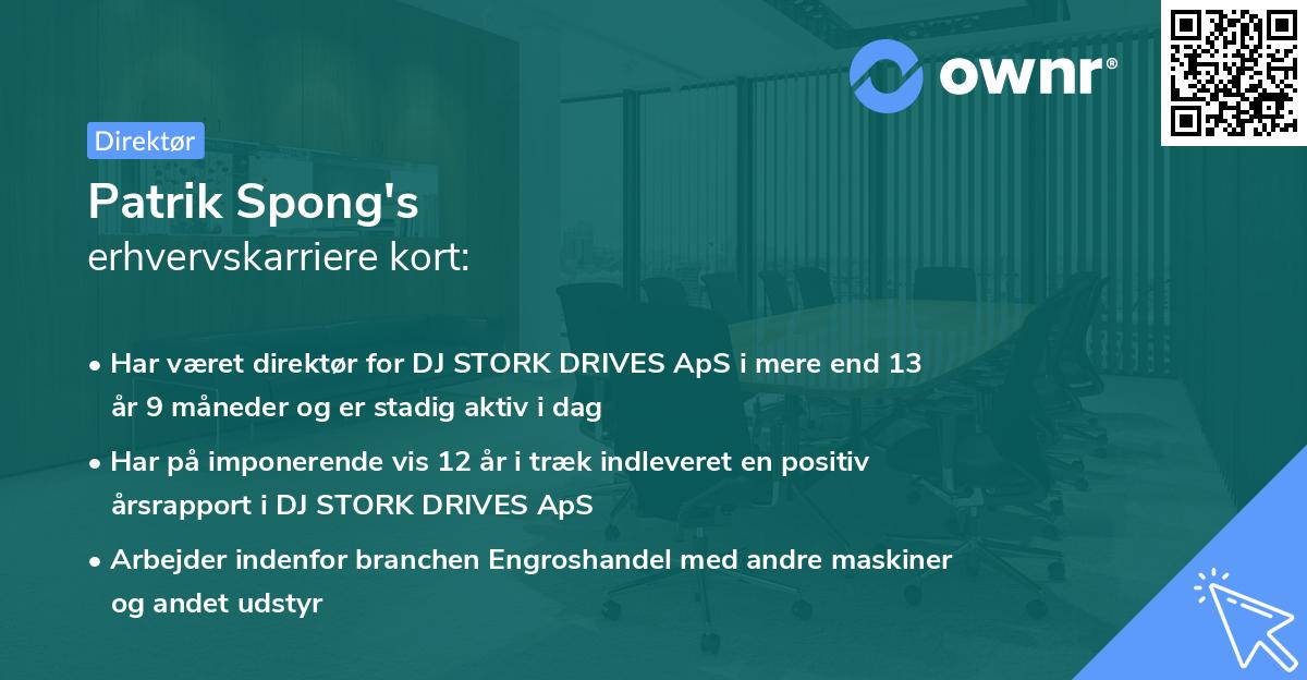 Patrik Spong's erhvervskarriere kort