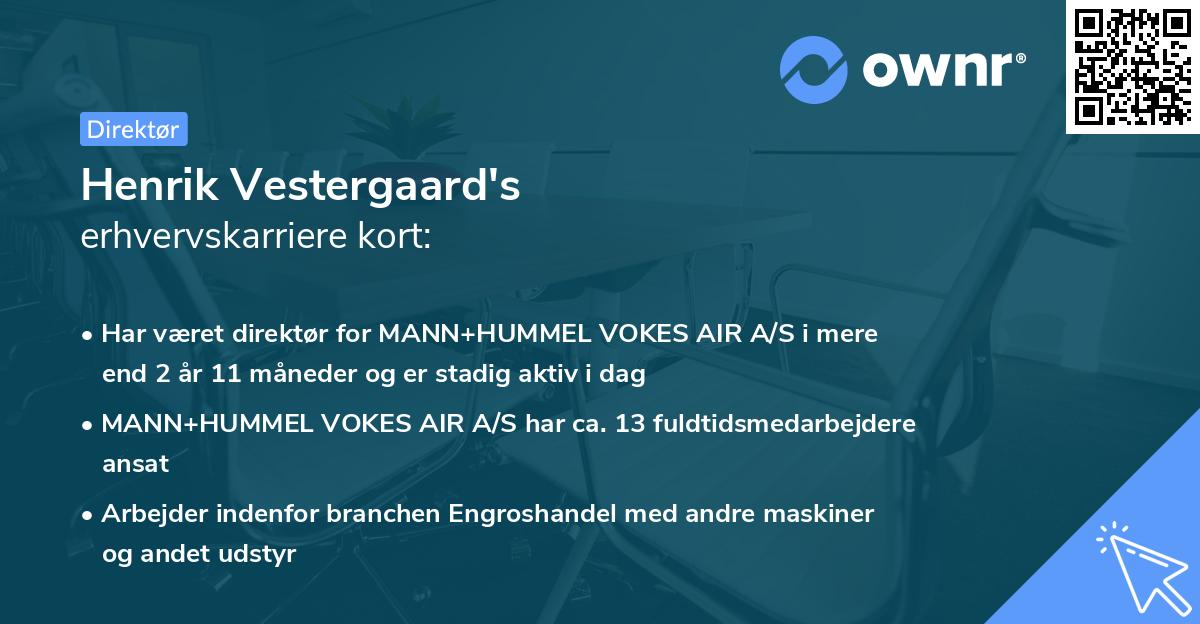 Henrik Vestergaard's erhvervskarriere kort