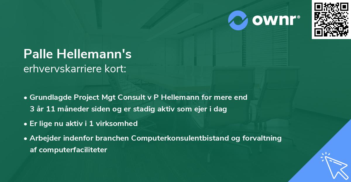Palle Hellemann's erhvervskarriere kort