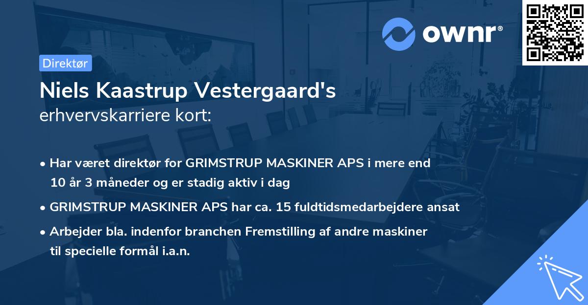 Niels Kaastrup Vestergaard's erhvervskarriere kort