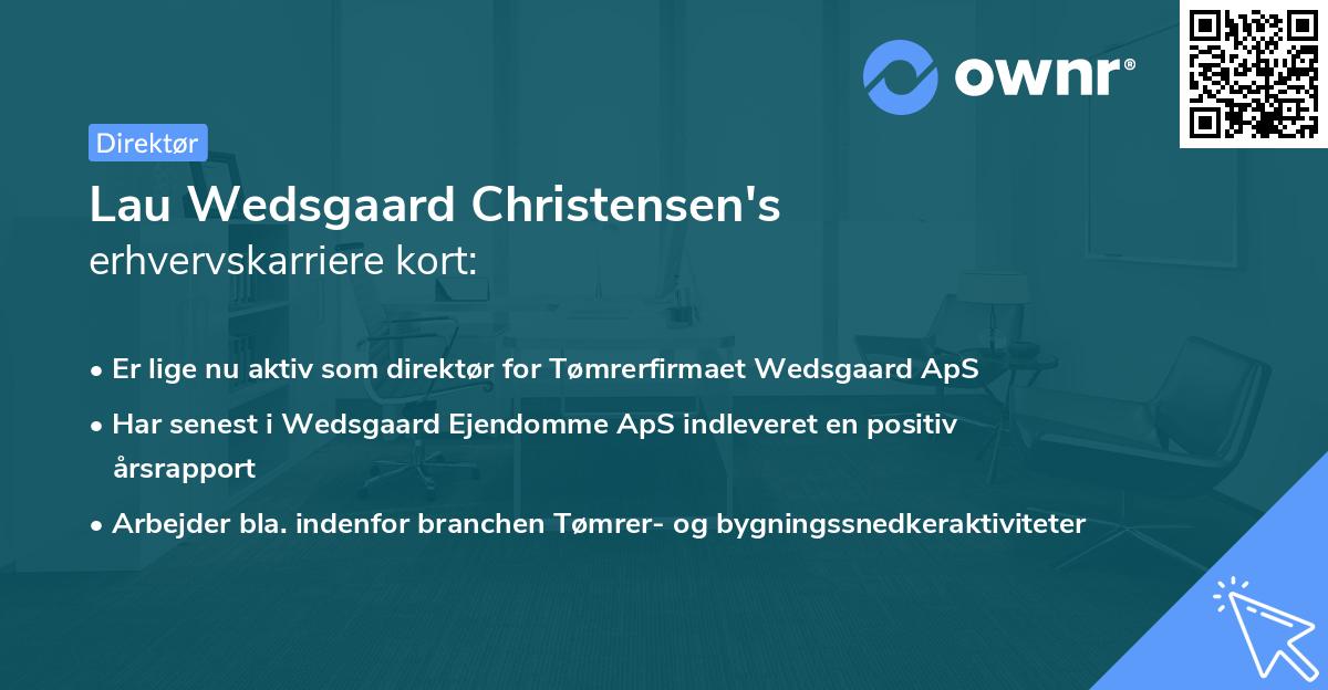 Lau Wedsgaard Christensen's erhvervskarriere kort
