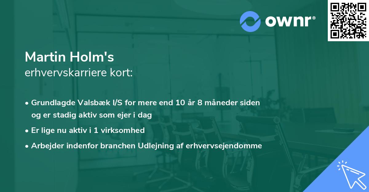 Martin Holm's erhvervskarriere kort