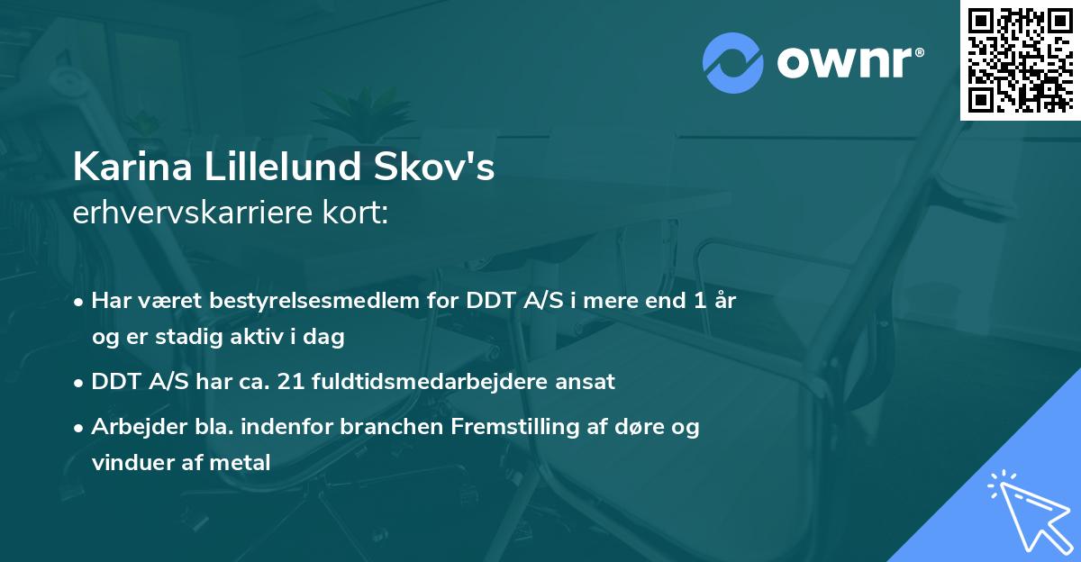 Karina Lillelund Skov's erhvervskarriere kort