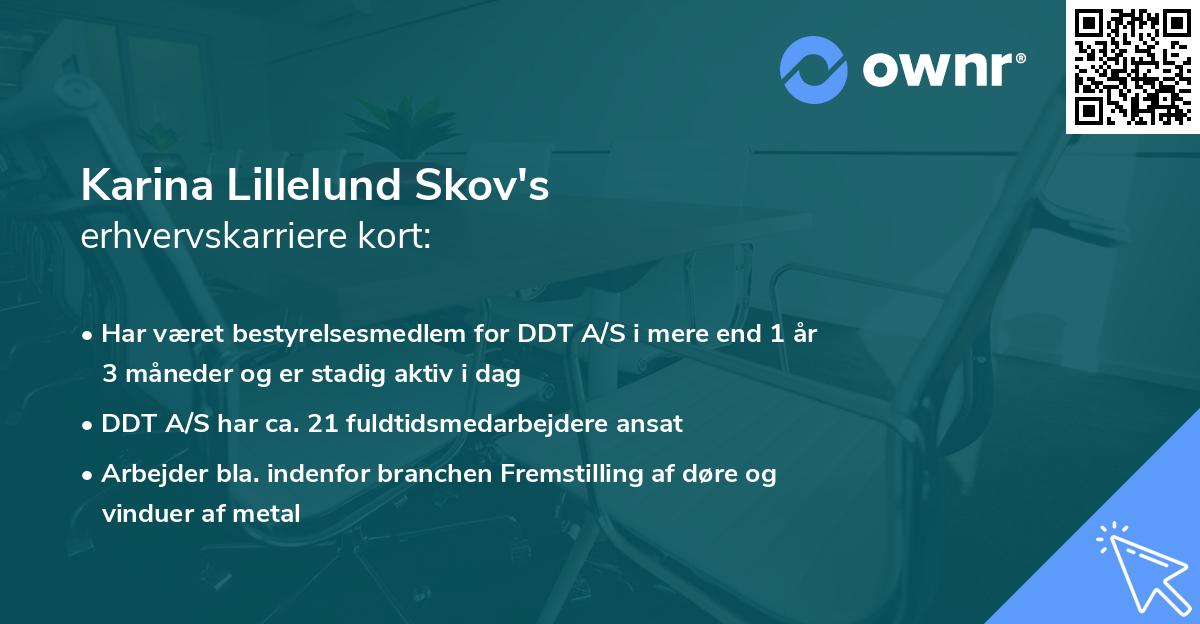 Karina Lillelund Skov's erhvervskarriere kort