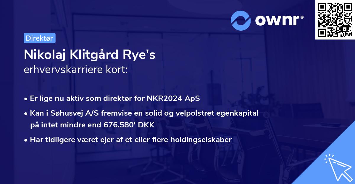 Nikolaj Klitgård Rye's erhvervskarriere kort