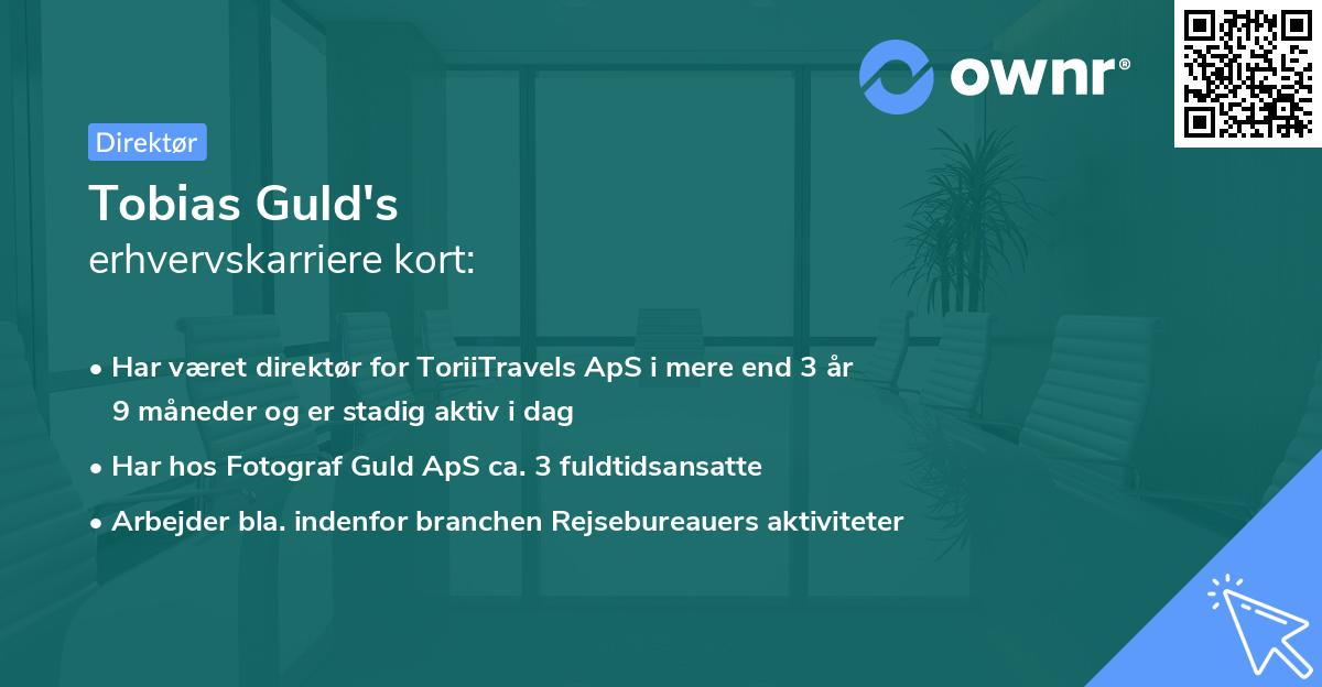 Tobias Guld's erhvervskarriere kort