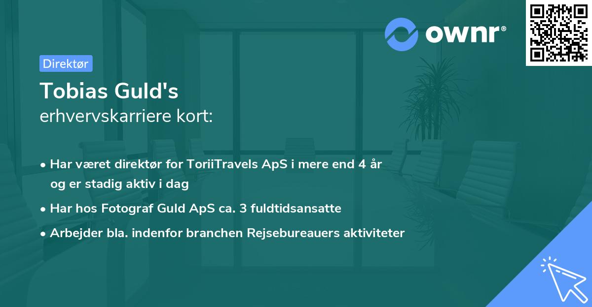 Tobias Guld's erhvervskarriere kort