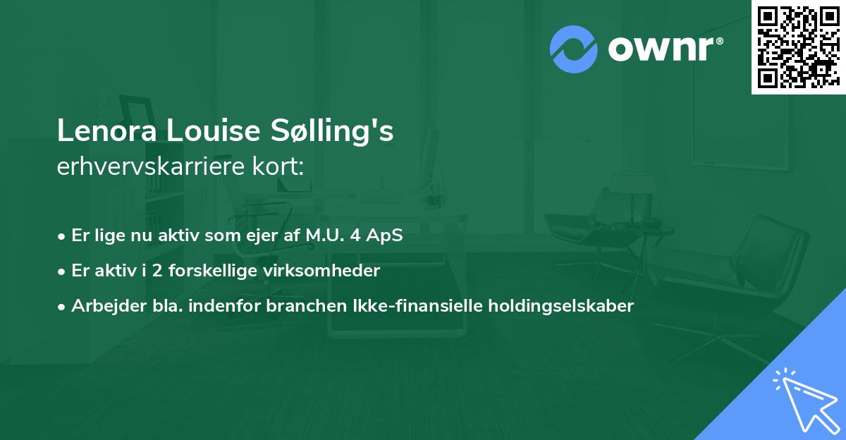 Lenora Louise Sølling's erhvervskarriere kort