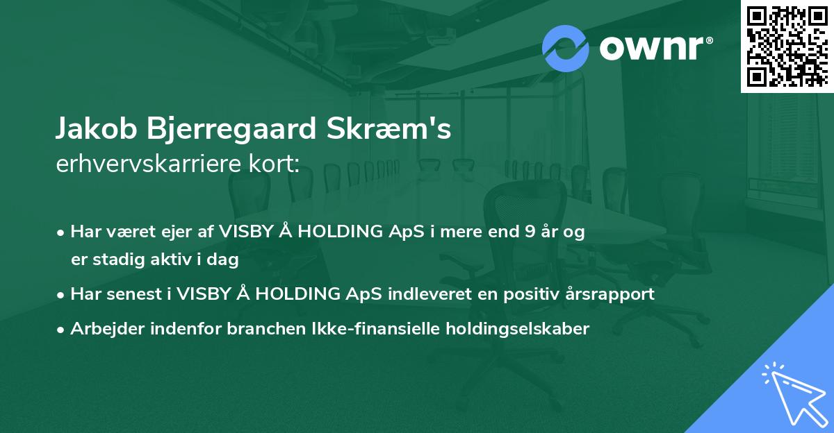 Jakob Bjerregaard Skræm's erhvervskarriere kort