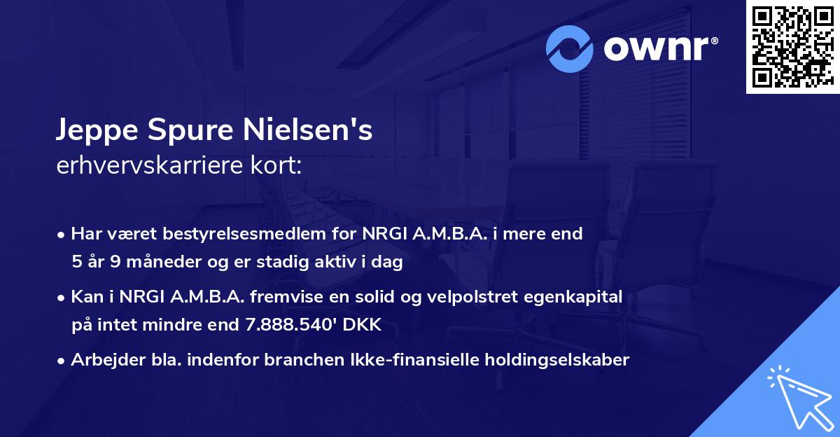Jeppe Spure Nielsen's erhvervskarriere kort